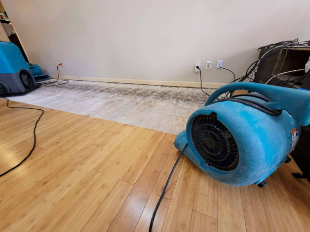 Professional Water Damage Repair technician working in Gill, CO
